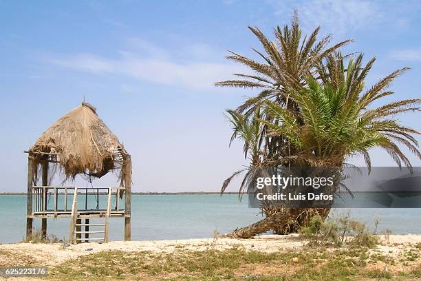 langue de barbarie national park - senegal landscape stock pictures, royalty-free photos & images