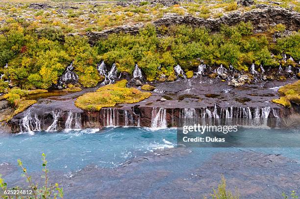 The waterfalls Hraunfossar of the river Hvita near the village Husafell in west Iceland..