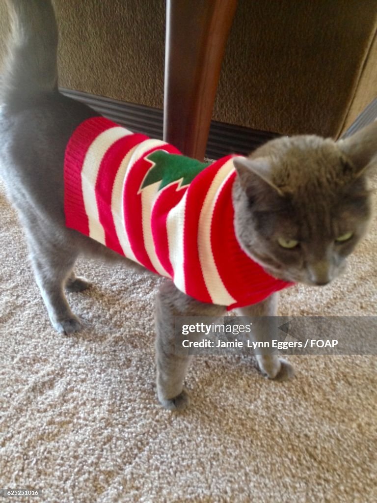 Cay wearing sweater standing on carpet