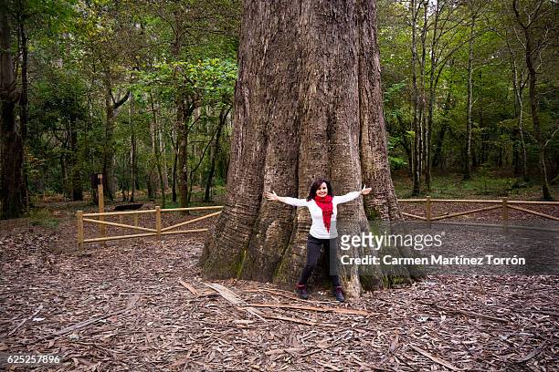 beautiful woman open the arms in front of a giant tree. - vivero stock-fotos und bilder
