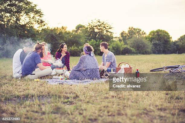 young friends enjoying picnic at the park - berlin park stock pictures, royalty-free photos & images
