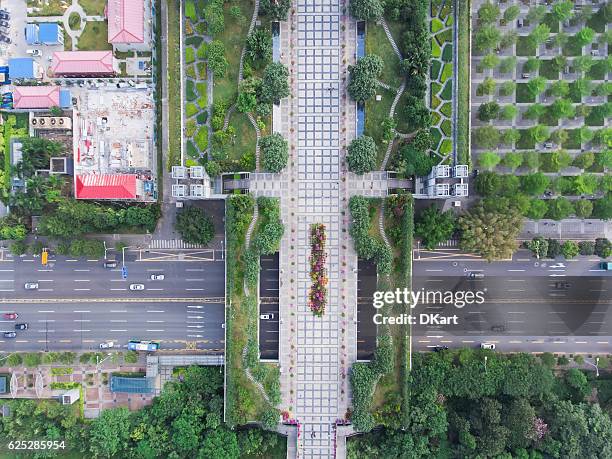 shenzhen civic center park - mid section stock pictures, royalty-free photos & images