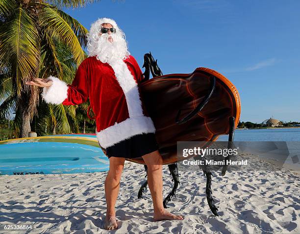 Giant Cockroach Photos and Premium High Res Pictures - Getty Images