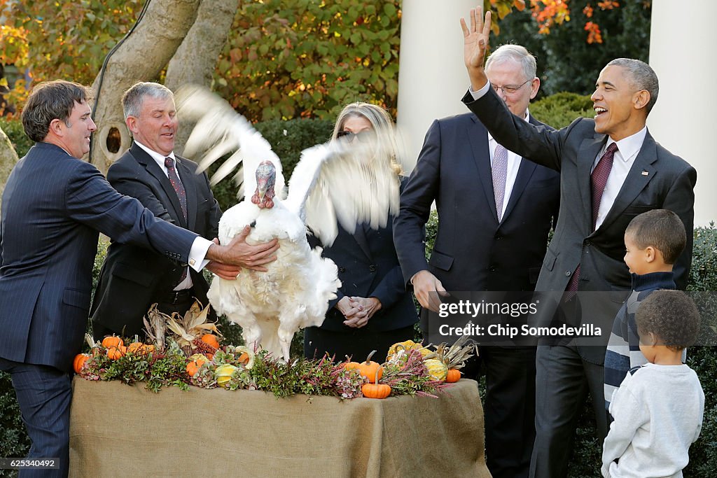 President Obama Pardons National Thanksgiving Turkey