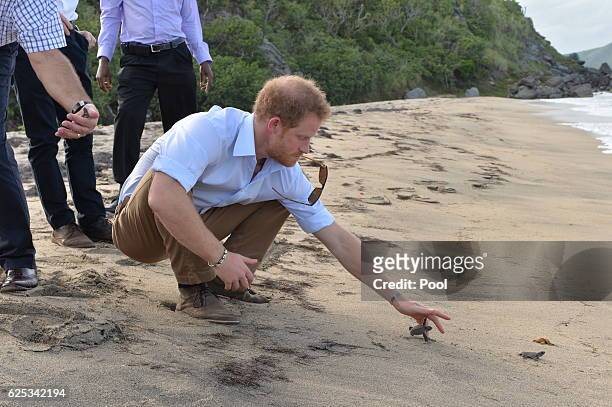 Prince Harry visits the Nevis turtle conservation project on Lover's Beach on the fourth day of an official visit on November 23, 2016 in Saint Kitts...