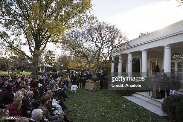 President Barack Obama pardons Tater, his last National Thanksgiving Turkey as President, during a ceremony in the Rose Garden at the White House in...