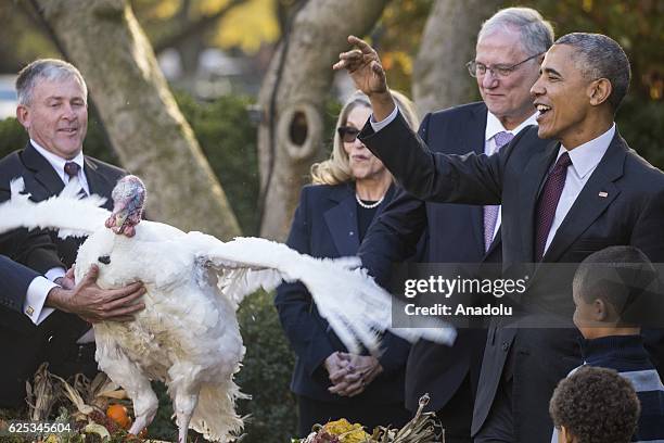 President Barack Obama pardons Tater, his last National Thanksgiving Turkey as President, during a ceremony in the Rose Garden at the White House in...