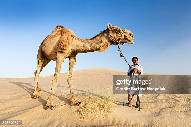 junge beduine mit kamel auf westliche sahara in afrika - bedouin stock-fotos und bilder