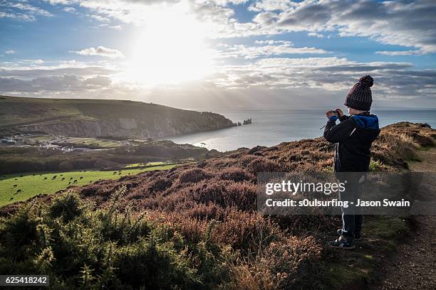 the apprentice photographer - isle of wight winter stock pictures, royalty-free photos & images