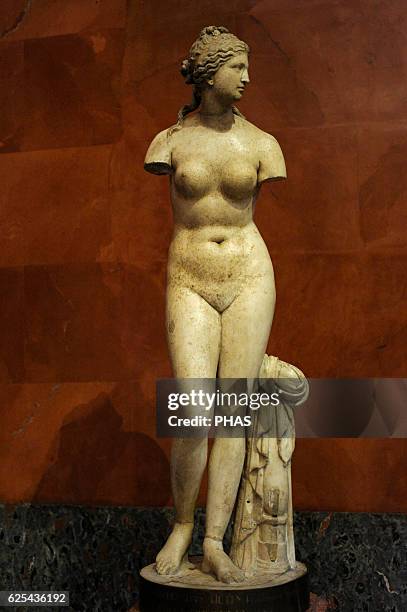 Aphrodite . Greek work of the 2nd century BC . Marble. Found in Rome. The State Hermitage Museum, Saint Petersburg, Russia.