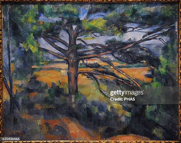 Paul Ce_zanne . French painter. Great Pine near Aix, ca. 1895-1897. Oil on canvas. The State Hermitage Museum, Saint Petersburg, Russia.