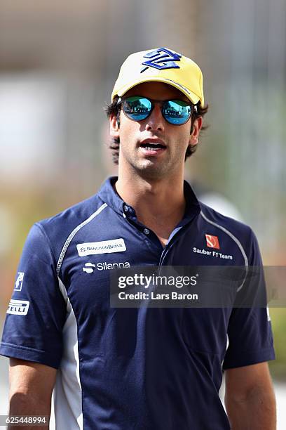 Felipe Nasr of Brazil and Sauber F1 walks in the Paddock during previews for the Abu Dhabi Formula One Grand Prix at Yas Marina Circuit on November...