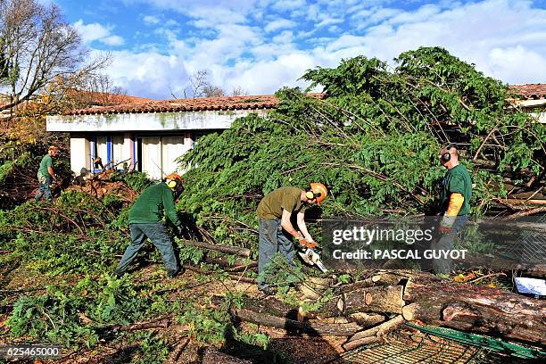 Employees cut down a tree that fell down on November 24, 2016 onto the school building of Saint-Martin-de-Londres, near Montpellier, after a mini...