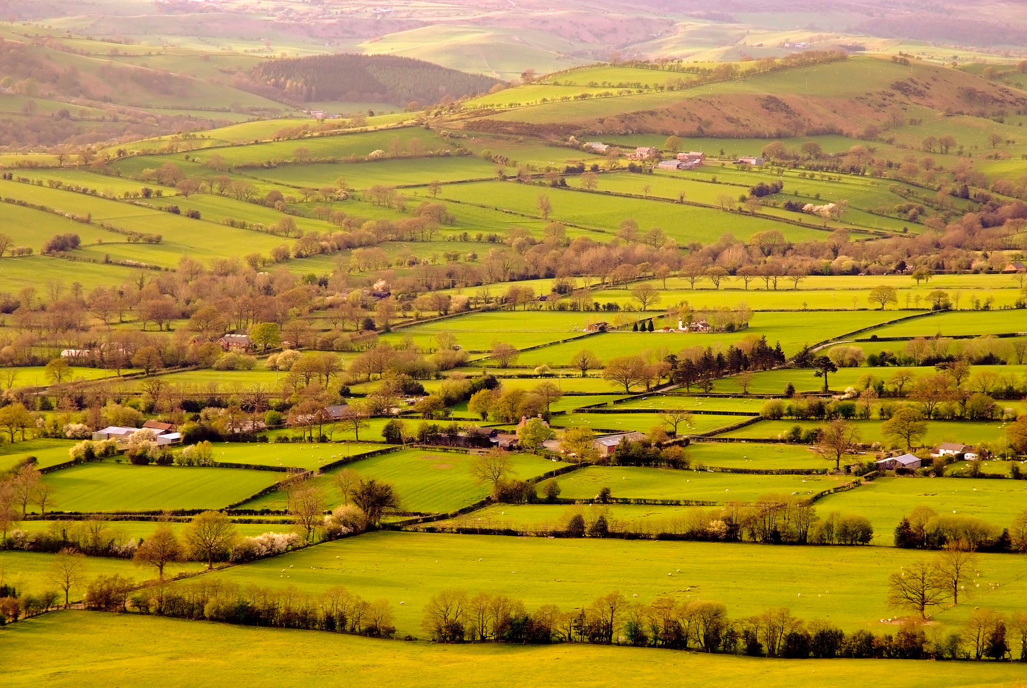 long mynd
