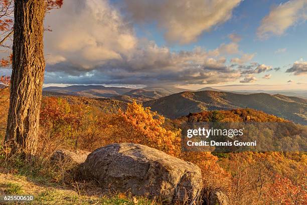 hazel mountain in fall - shenandoah valley stock pictures, royalty-free photos & images