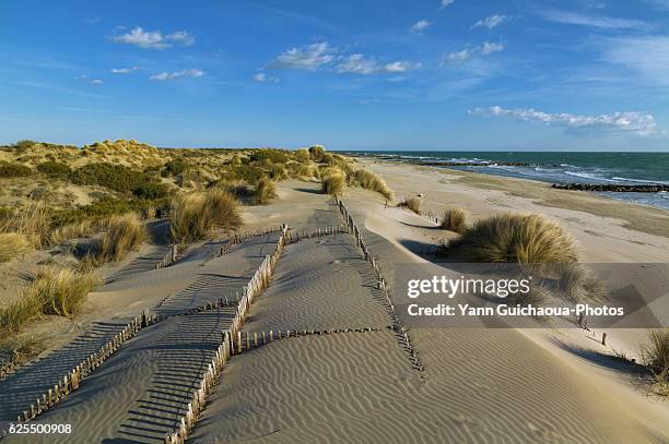 the espiguette, wild beach in the camargue,languedoc roussillon,france - camargue stock-fotos und bilder