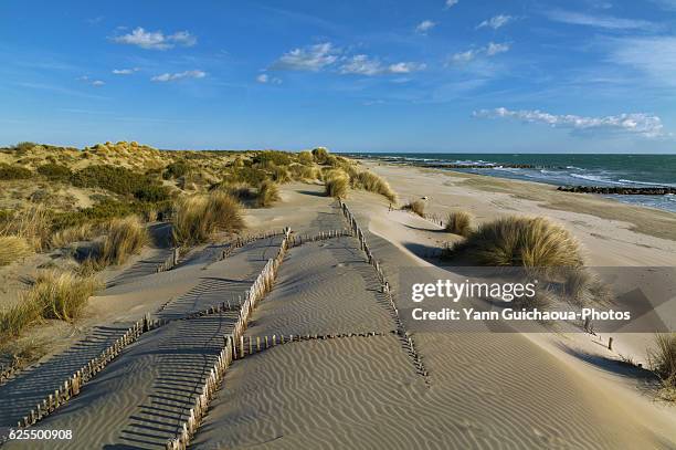 the espiguette,  wild beach in the camargue,languedoc roussillon,france - south of france stock-fotos und bilder