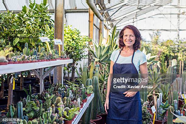 reife frau arbeitet in dergärtnerei - frau schön kaktus stock-fotos und bilder