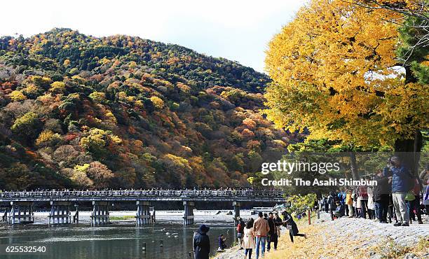 People enjoy autumn colours from Togetsukyo Bridge at Arashiyama area on November 23, 2016 in Kyoto, Japan.