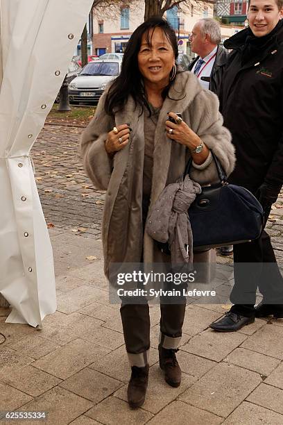 French actress and jury member of Russian Film Festival Mei-Chen Chalais on November 24, 2016 in Honfleur, France.