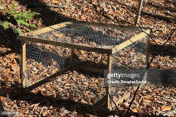 fur hunters small animal trap in the wilderness - captive animals stock pictures, royalty-free photos & images