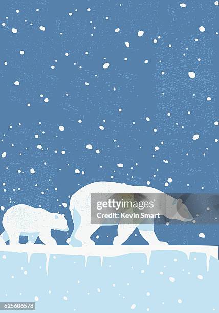 polar bears in the wild - polar bear iceberg stock illustrations