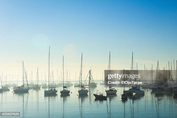 morning in puertito del buceo, montevideo, uruguay - buceo stock pictures, royalty-free photos & images