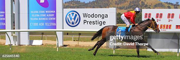 Arachne ridden by Steven King wins White Ribbon â Making Womenâs safety a Manâs issue too BM64 Handicap on November 25, 2016 in Wodonga, Australia.