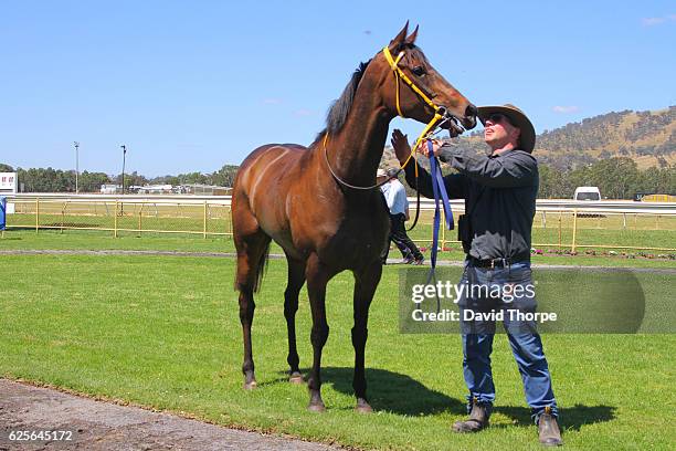 Arachne in the mounting yard after winning White Ribbon â Making Womenâs safety a Manâs issue too BM64 Handicap on November 25, 2016 in Wodonga,...