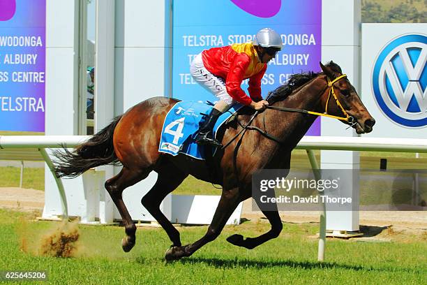 Arachne ridden by Steven King wins White Ribbon â Making Womenâs safety a Manâs issue too BM64 Handicap on November 25, 2016 in Wodonga, Australia.