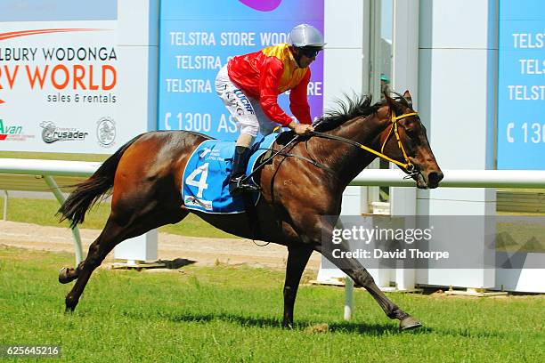 Arachne ridden by Steven King wins White Ribbon â Making Womenâs safety a Manâs issue too BM64 Handicap on November 25, 2016 in Wodonga, Australia.