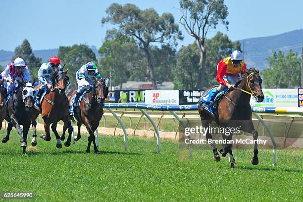 Arachne ridden by Steven King wins White Ribbon â Making Womenâs safety a Manâs issue too BM64 Handicap at Wodonga Racecourse on November 25, 2016 in...