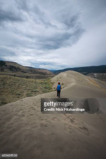 female hiker exploring a sand dune in farwell canyon, cariboo chilcotin region, british columbia, canada - cariboo stock pictures, royalty-free photos & images