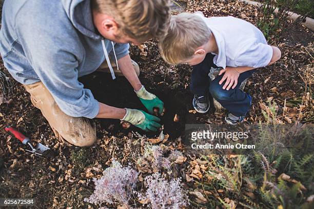 father and son gardening - creuser photos et images de collection