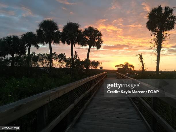 boardwalk during sunset - gainesville florida stock pictures, royalty-free photos & images