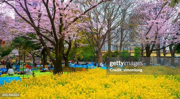 yoyogi park, tokyo ,japan - yoyogi tokyo stock pictures, royalty-free photos & images