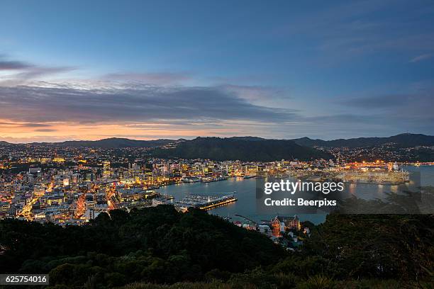 twilight over wellington at night, new zealand. - new zealand houses imagens e fotografias de stock