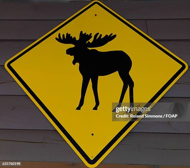 Moose Ridge Sign 123 Moose Road Sign Stock Photos, High-Res Pictures, and Images - Getty ...
