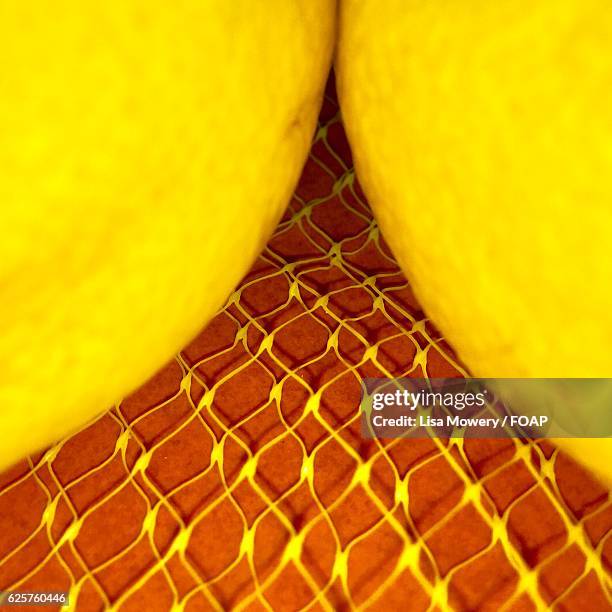 close-up of two yellow lemons - lisa bitter stock pictures, royalty-free photos & images