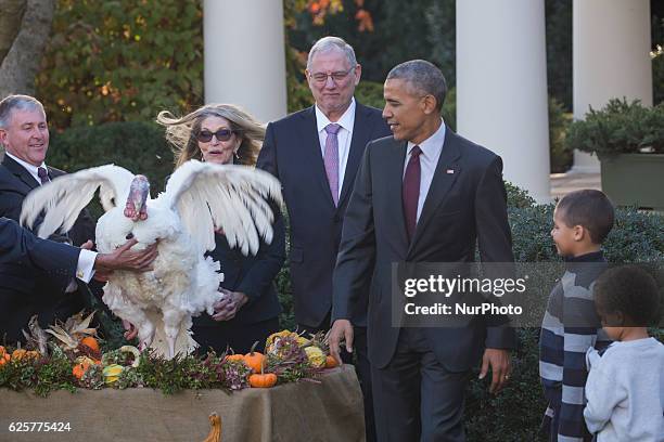 President Barack Obama stands with his nephews Austin and Aaron Robinson as he pardons the National Thanksgiving Turkey in the Rose Garden of the...