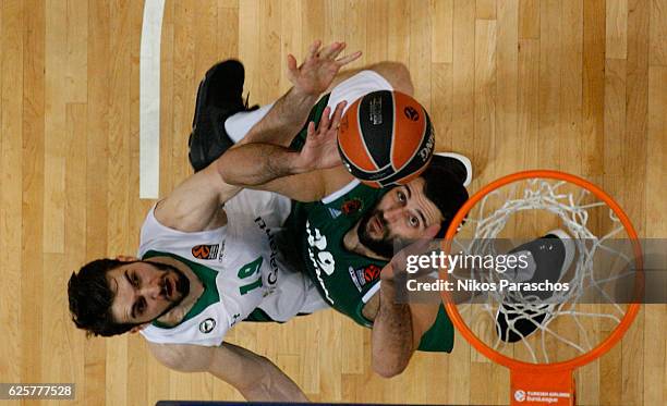 Ioannis Bourousis, #29 of Panathinaikos Superfoods Athens competes with Furkan Aldemir, #19 of Darussafaka Dogus Istanbul during the 2016/2017...