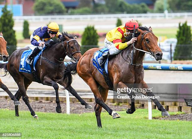 Mark Whiteman 320 Mark Whiteman Stock Photos, High-Res Pictures, and Images - Getty ...