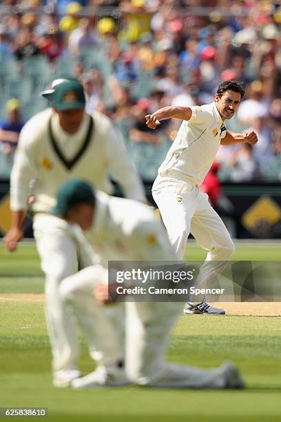 Mitchell Starc of Australia celebrates dismissing Dean Elgar of South Africa during day three of the Third Test match between Australia and South...