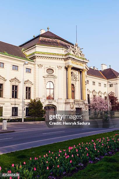 palais auersperg in vienna - palais auersperg fotografías e imágenes de stock
