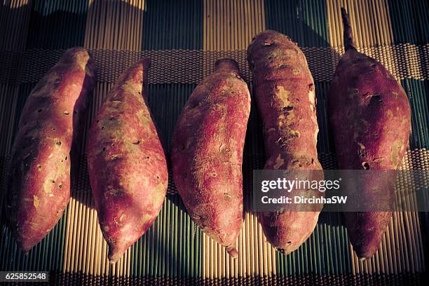 South American Tuber Photos and Premium High Res Pictures Getty Images South American Tuber Photos and Premium High Res Pictures Getty Images