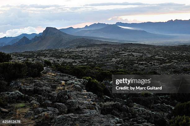 shira plateau, mount kilimanjaro, tanzania - plateau stock pictures, royalty-free photos & images