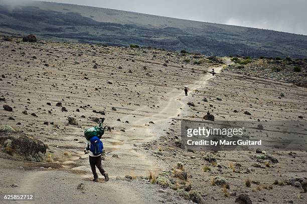hikers on mount kilimanjaro, tanzania - mt kilimanjaro stock pictures, royalty-free photos & images