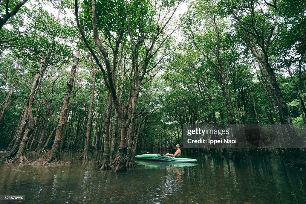 Man enjoying mangrove kayaking, Ishigaki Island, Japan