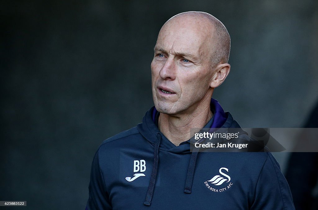 Swansea City v Crystal Palace - Premier League