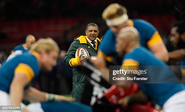 Springboks coach Allister Coetzee looks on before the International match between Wales and South Africa at Principality Stadium on November 26, 2016...